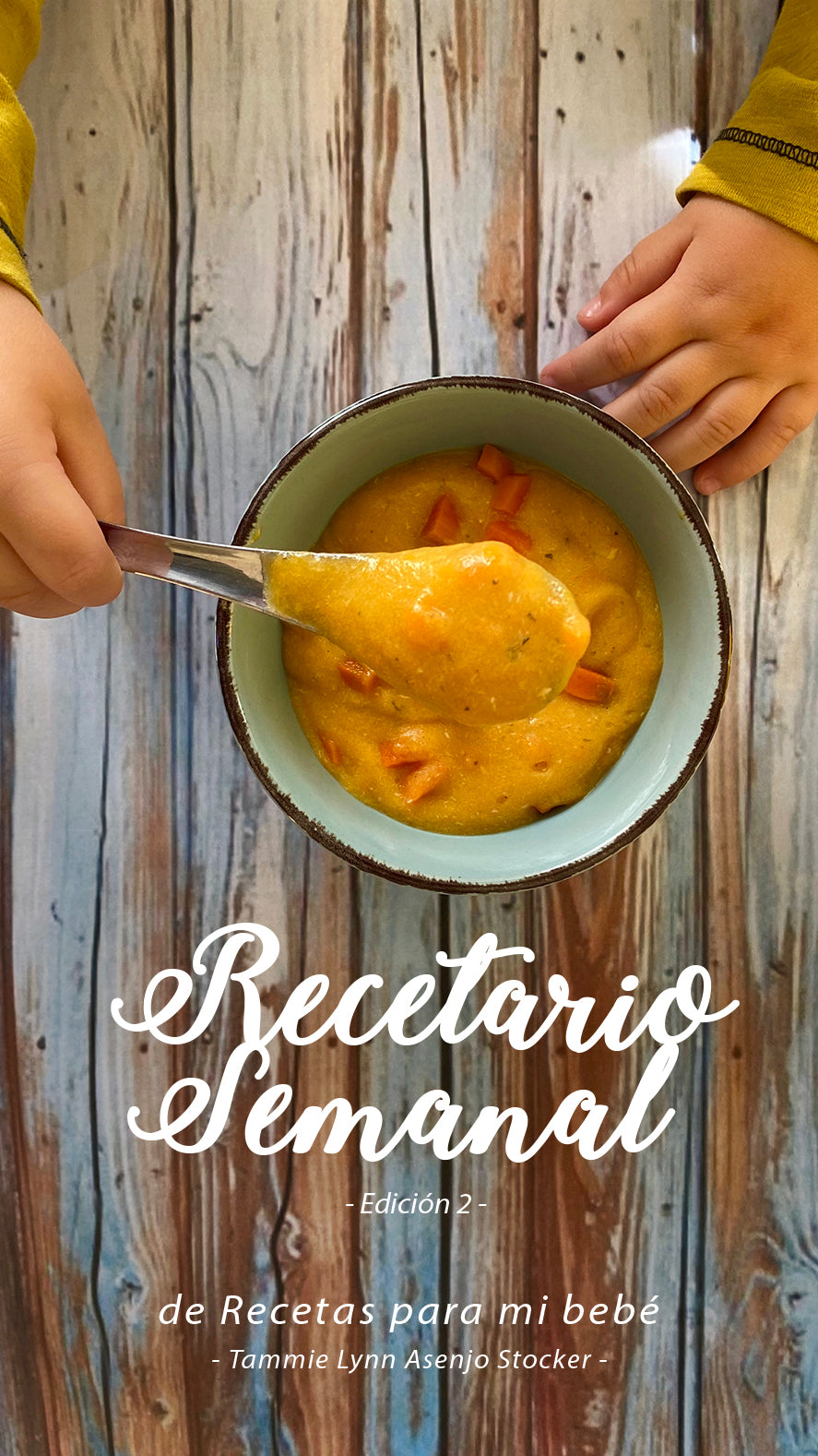 eBook Edición 2